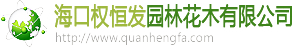 鑄造廠(chǎng)